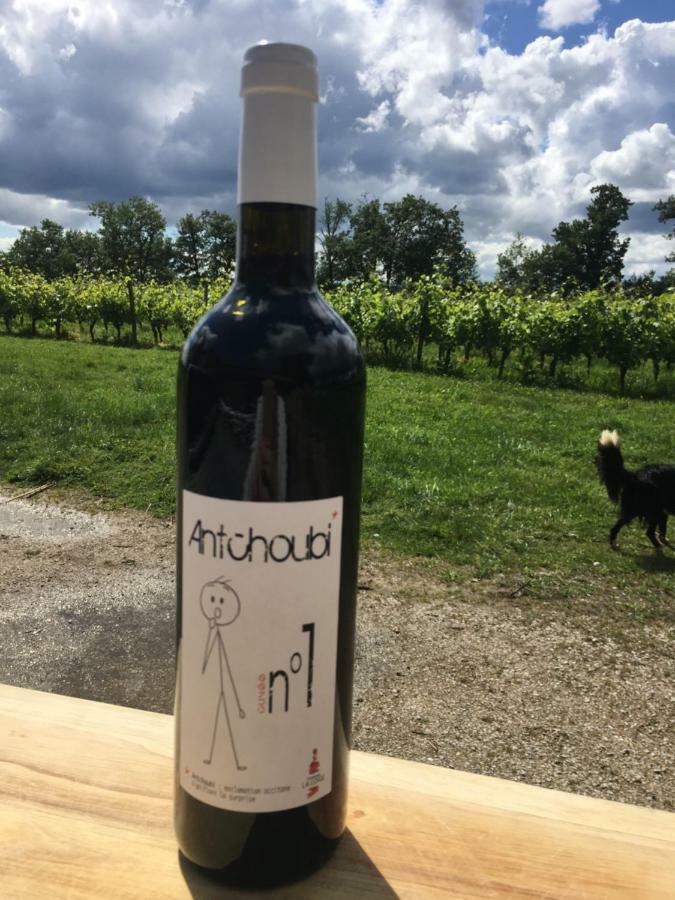 Chateau La Loge Villematier 외부 사진